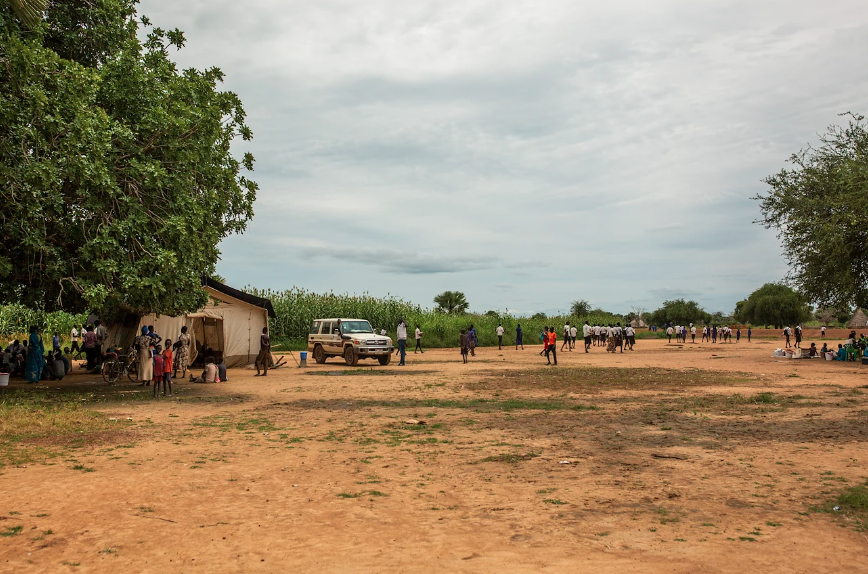 An alima standing in a dirt field.
