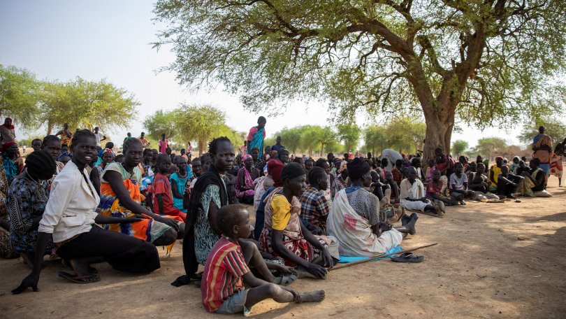 A group of people sitting under a tree at the MSF operational centre in Geneva.