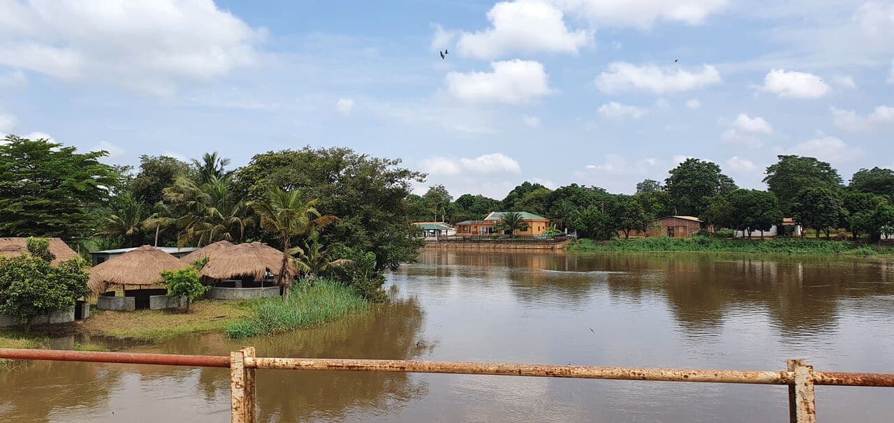 ALIMA Progress Report